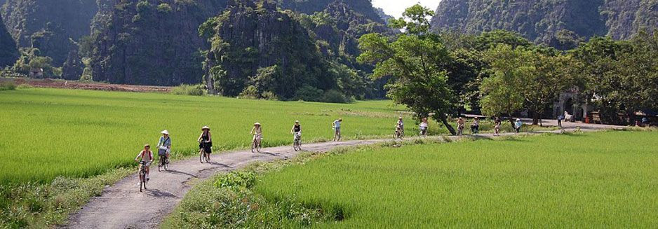 Higuera de la Sierra Asia VIETNAM Aventura Amazonia.jpg